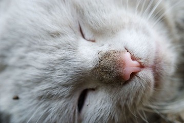 DSC_7918_s