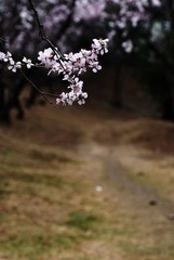 DSC_7839s