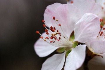 DSC_7782s