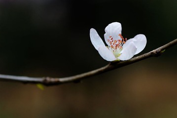 DSC_7770s
