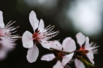 DSC_7765_s