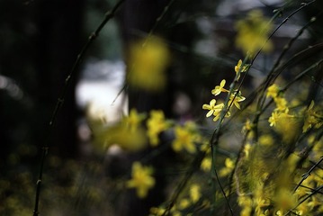 DSC_7741_s