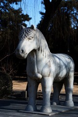 DSC_7367_s