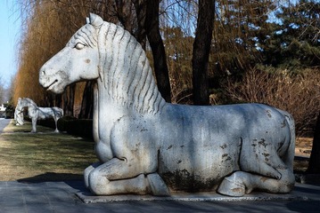 DSC_7359_s