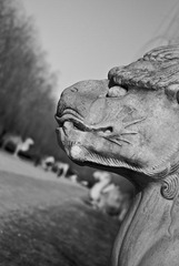 DSC_7325_s
