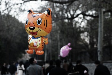 DSC_7196_s