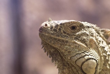 DSC_7170_s