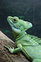 DSC_7162_s