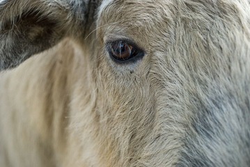 DSC_7089p_s