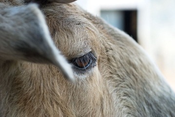 DSC_7092_s