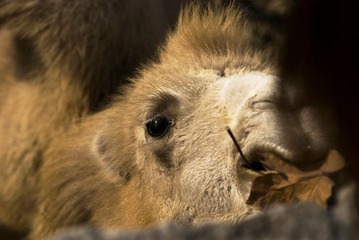 DSC_7034_s