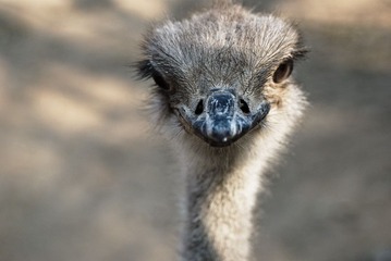 DSC_6949_s