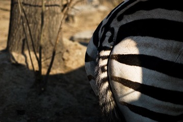 DSC_6907_s