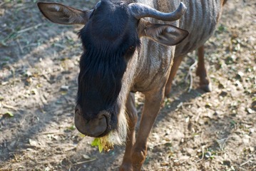 DSC_6811_s