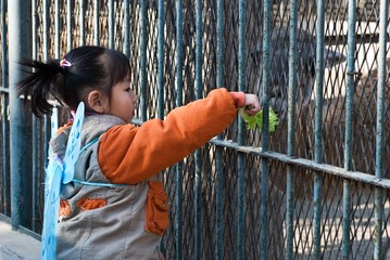 DSC_6775_s