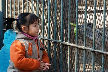 DSC_6772_s