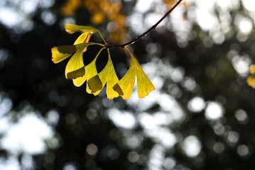 DSC_6692_s