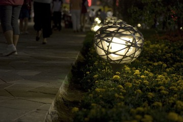 DSC_6200_s