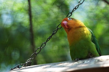 DSC_2320_s