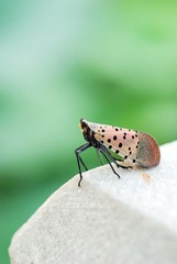 DSC_4744_s