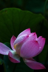 DSC_4763_s