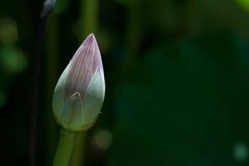 DSC_4144