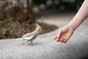 70308