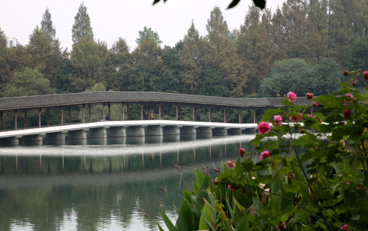 浓浓的秋意杭州浴鹄湾景区