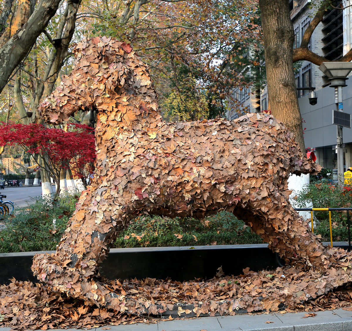 中国美院学员用落叶编制的造型