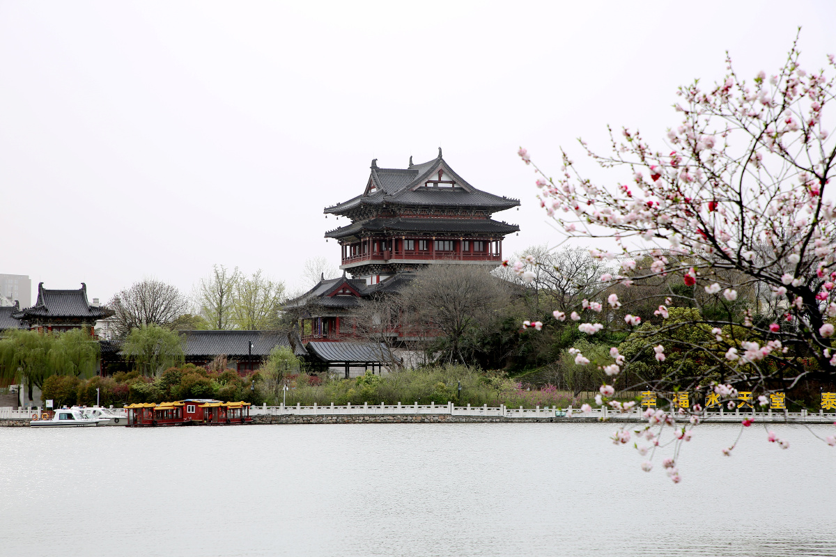 春天的气息泰州桃园