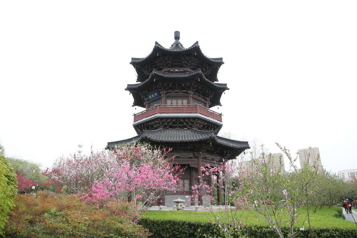 春天的气息泰州桃园