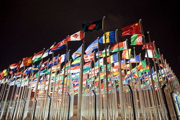 Point and shoot - World Expo 2010