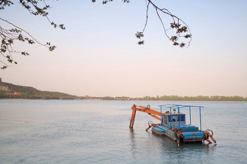 The Summer Palace