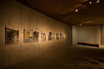 CAFA 中央美院美术馆
