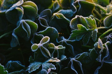 D7888D3F-50F5-4AAB-851D-30C985955407/L0/001
