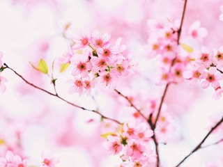 D1D19C05-A1AA-4975-A6EF-6B24BE60E585/L0/001
