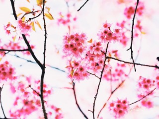 25D9D0F7-C574-43F0-A443-300BDDF124D8/L0/001