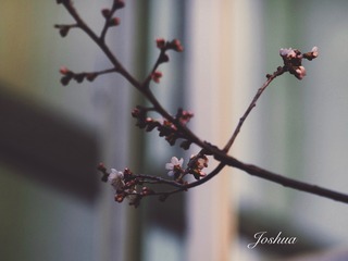 B8376329-05E3-4C70-BA69-76E1B3227A1B/L0/001