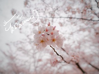 1139A301-CFBA-4E09-85A2-7F860C1B96E7/L0/001