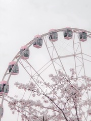 D7D13322-4FCC-4D89-B31D-2B923CC09C8A/L0/001