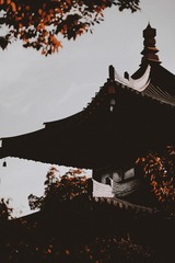 28B6F53D-7A57-437C-AC34-DD03742194FD/L0/001