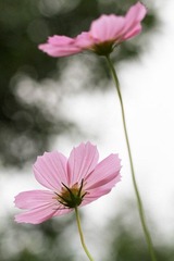 IMG_0231