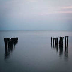 深圳湾