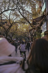 0D30A2AC-7160-4E03-B96B-EC89C1D07734/L0/001