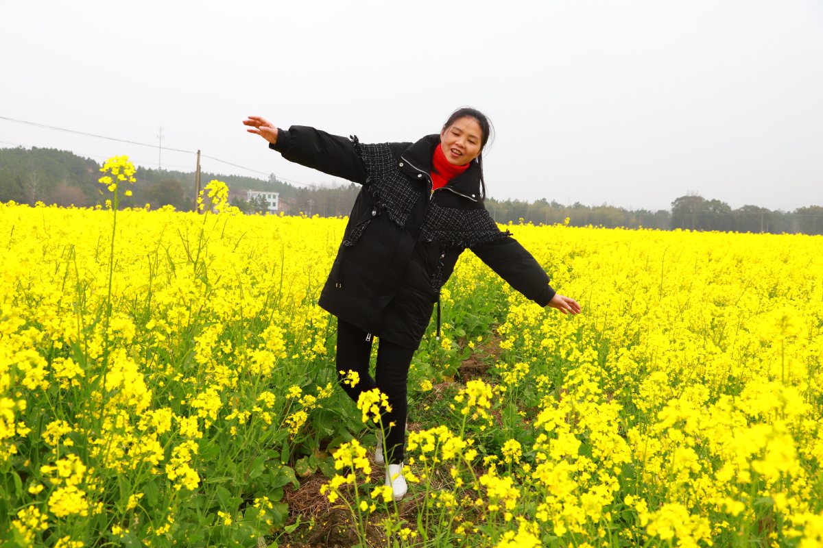 游春人在画中行