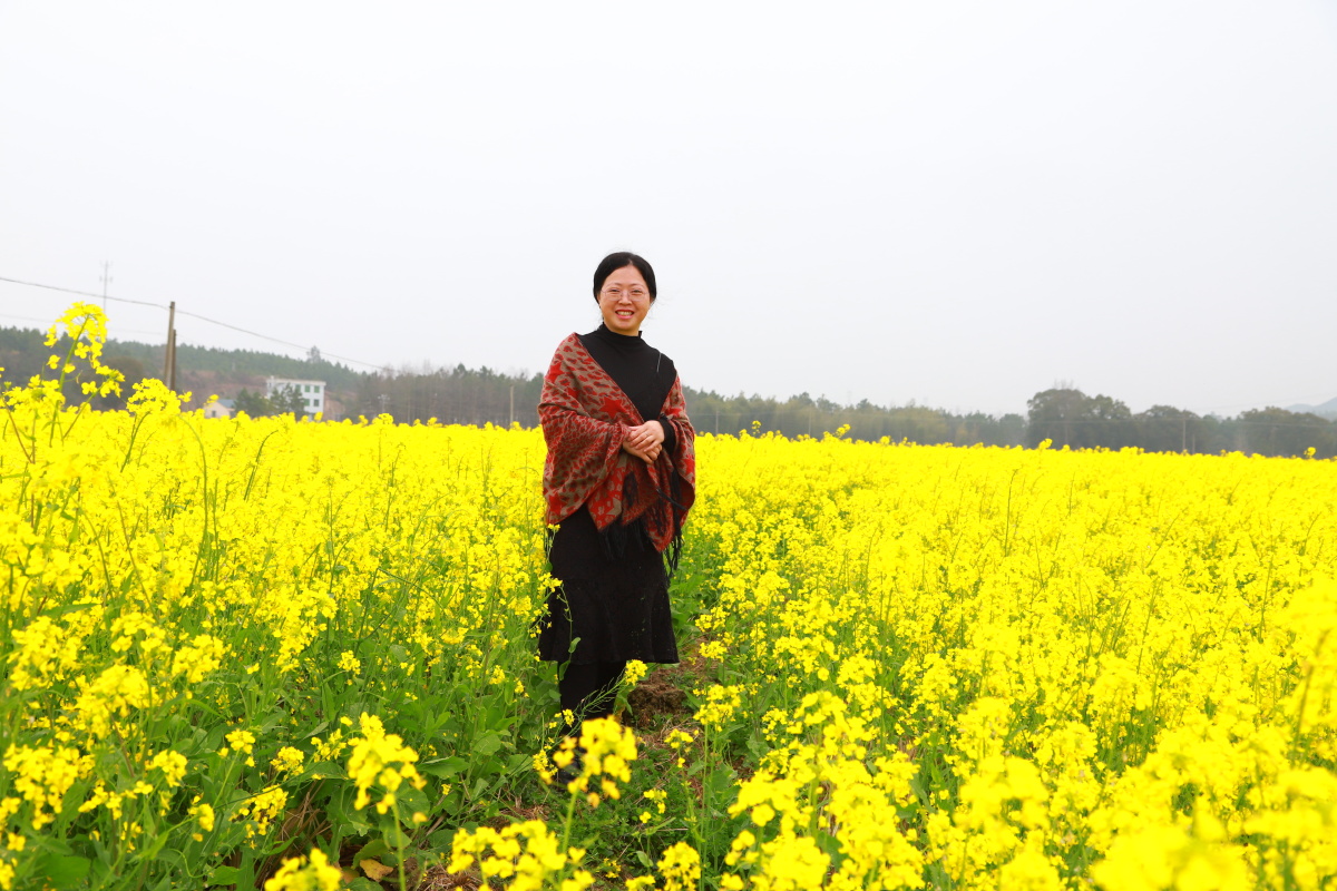 游春人在画中行