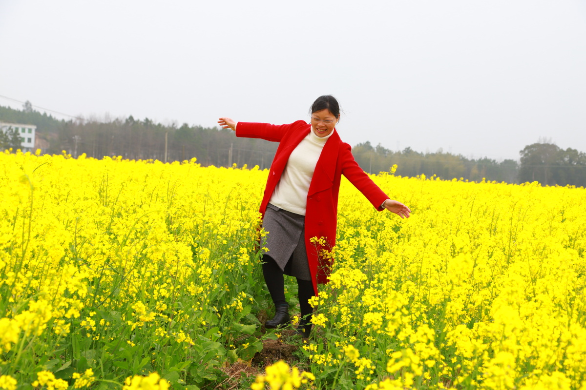 游春人在画中行