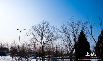 _DSC0144