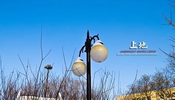 _DSC0159