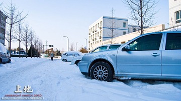 _DSC0181